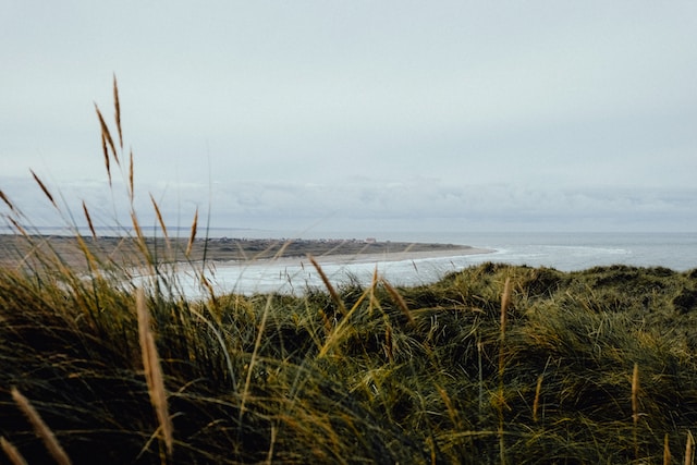 Warum ein Ferienhaus an der Nordsee Dänemarks die perfekte Wahl ist